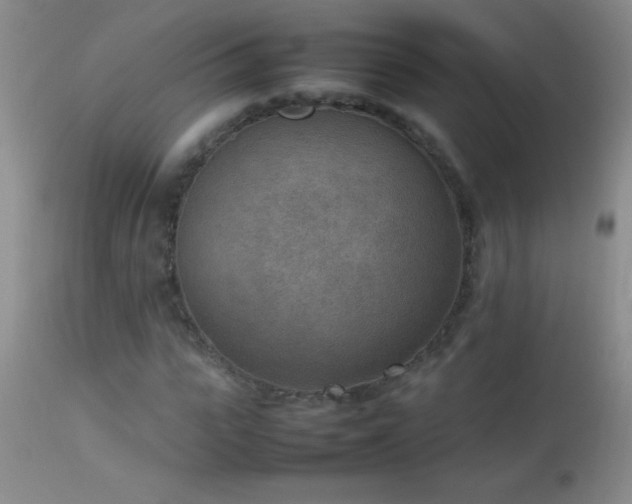 X0000114220919200910091344
