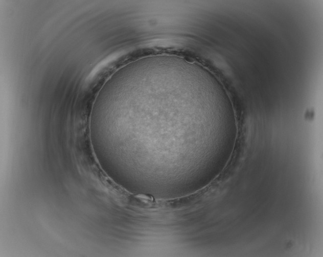 X0000114220920200910091344