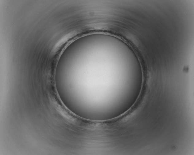X0000114220922200910091344