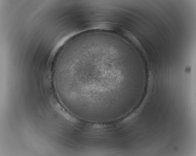 X0000114220923200910091344