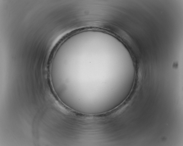 X0000114220924200910091344
