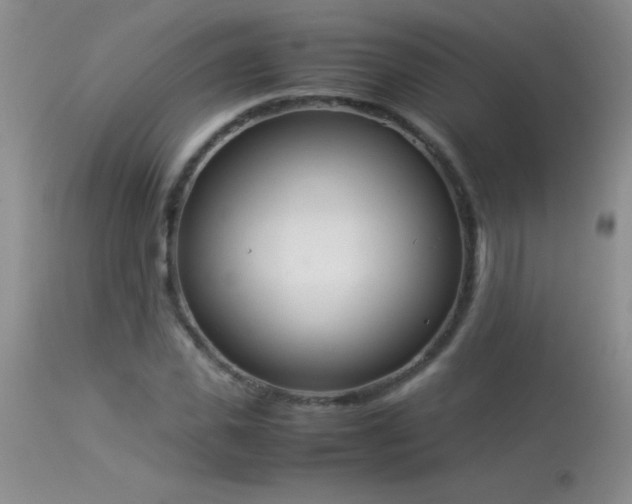 X0000114220925200910091344