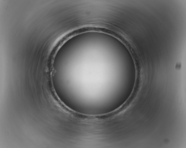 X0000114220926200910091344