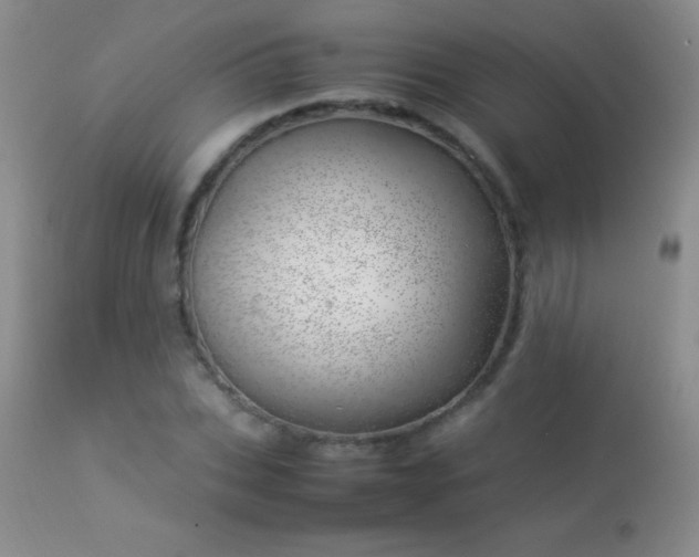 X0000114220927200910091344