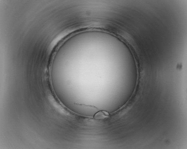 X0000114220928200910091344