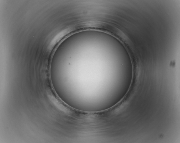 X0000114220930200910091344