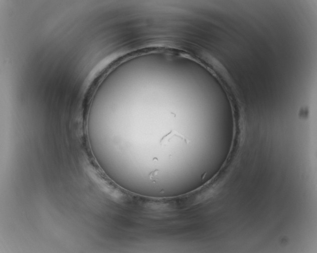 X0000114220931200910091344
