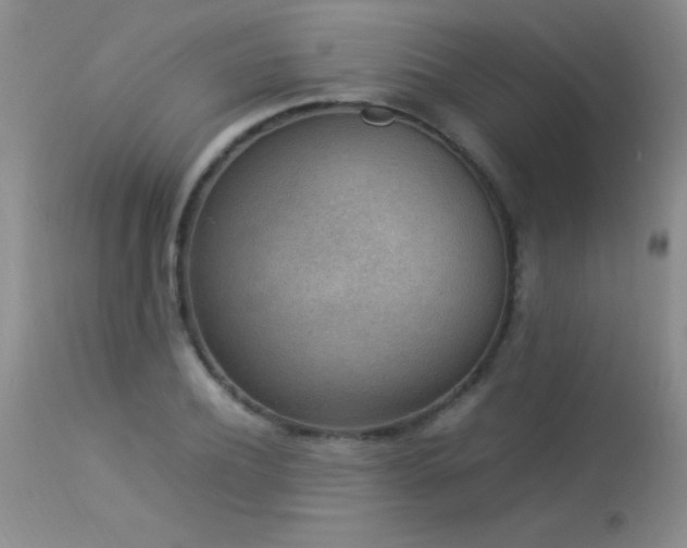 X0000114220932200910091344