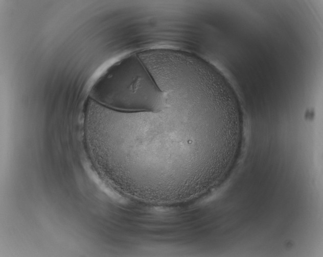X0000114220933200910091344