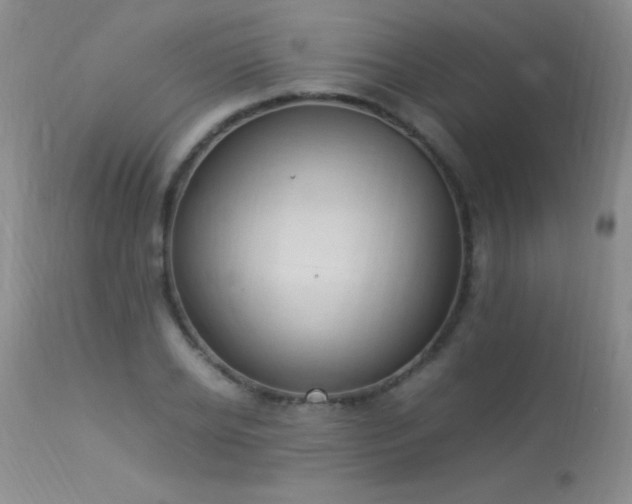 X0000114220934200910091344