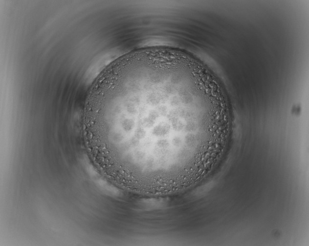 X0000114220937200910091344