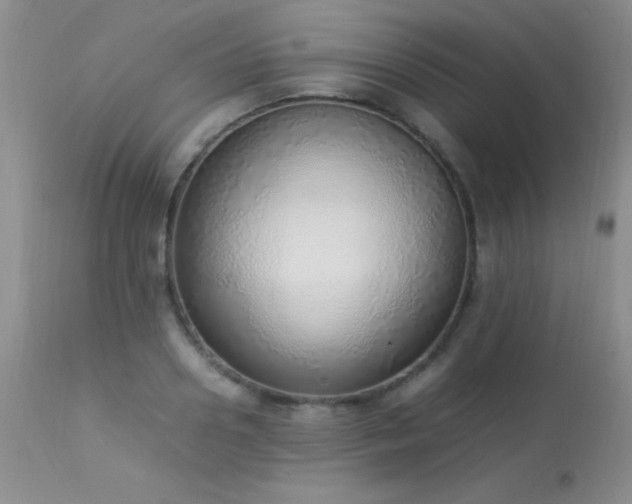 X0000114220938200910091344