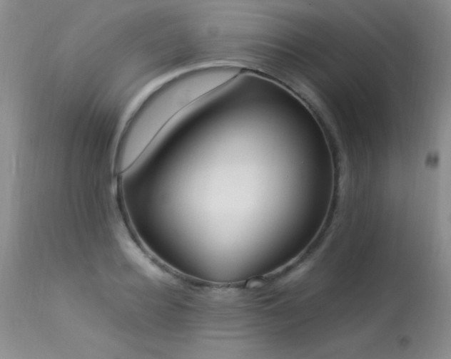 X0000114220940200910091344