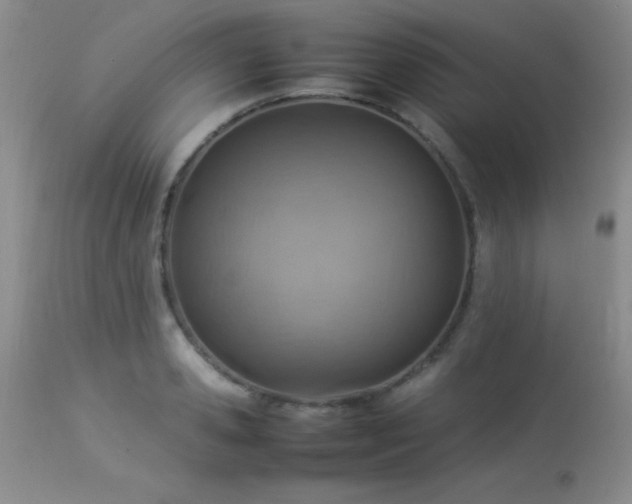 X0000114220941200910091344