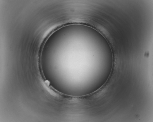 X0000114220942200910091344