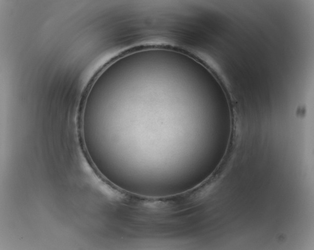 X0000114220943200910091344