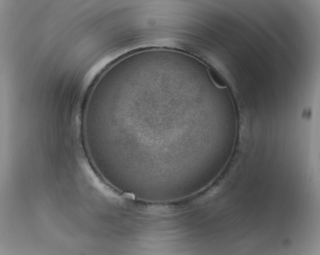 X0000114220944200910091344