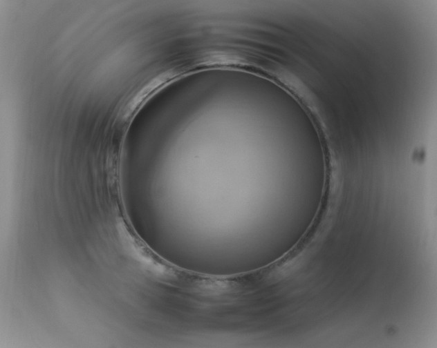 X0000114220945200910091344