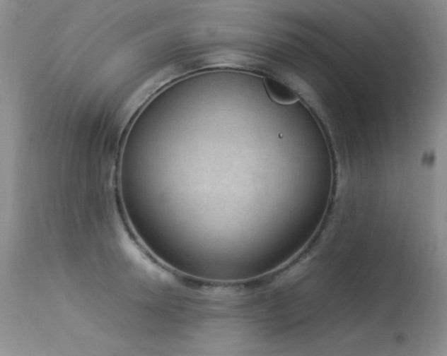 X0000114220946200910091344