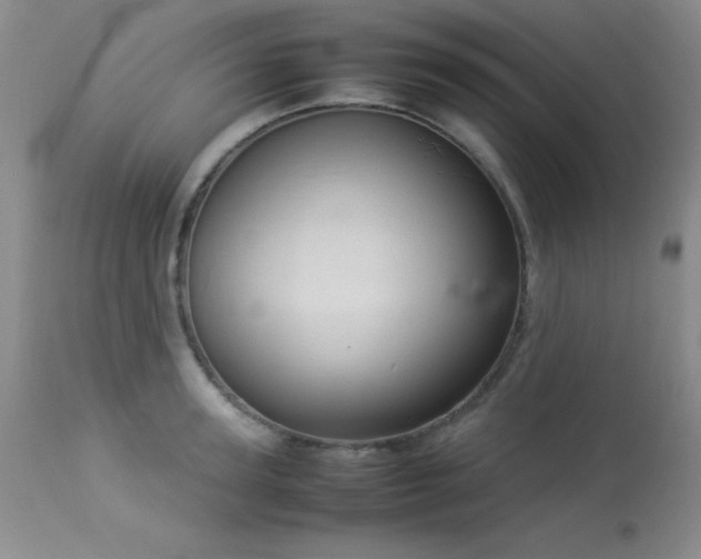 X0000114220947200910091344