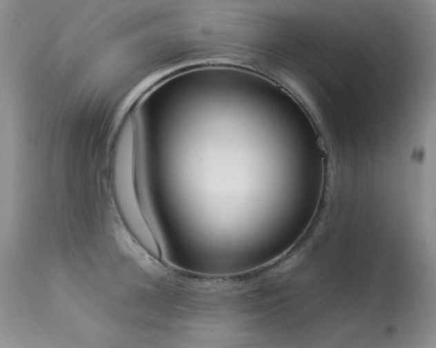 X0000114220948200910091344