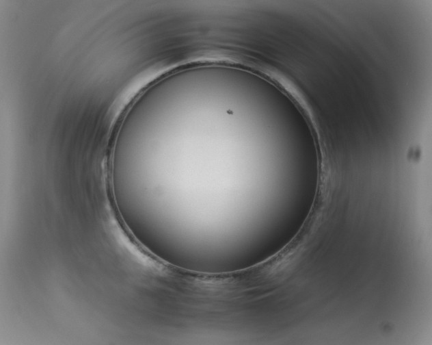 X0000114220951200910091344