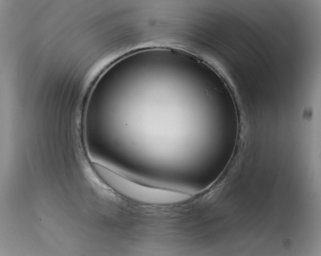 X0000114220952200910091344
