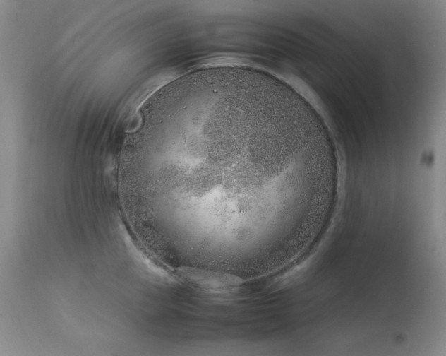 X0000114220953200910091344