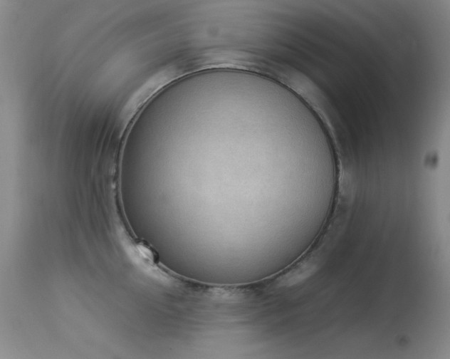X0000114220954200910091344