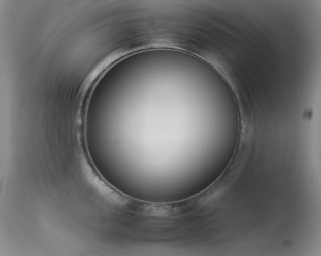 X0000114220955200910091344