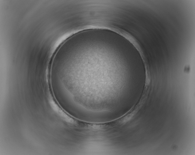 X0000114220958200910091344