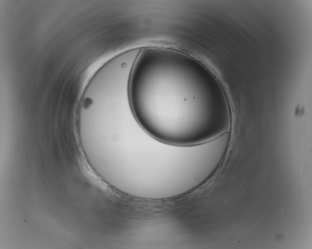 X0000114220960200910091344