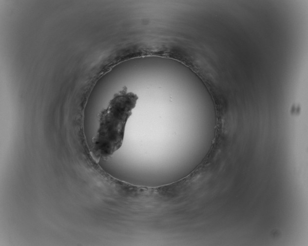 X0000114220961200910091344