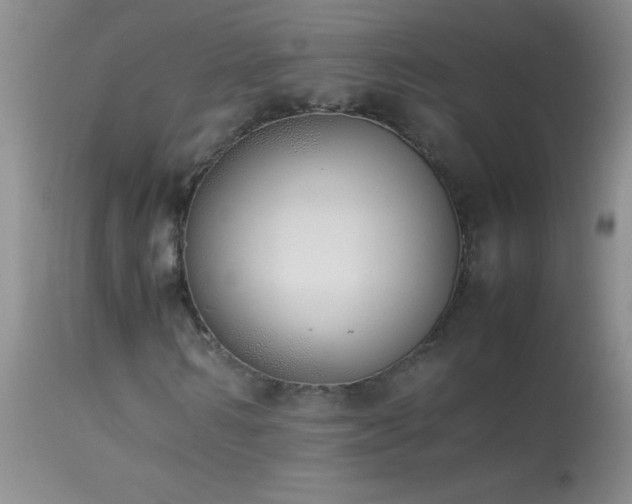 X0000114220962200910091344