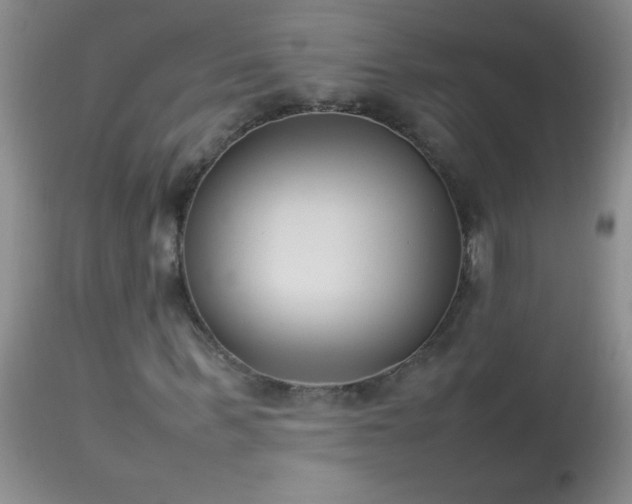 X0000114220963200910091344