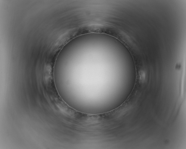X0000114220964200910091344