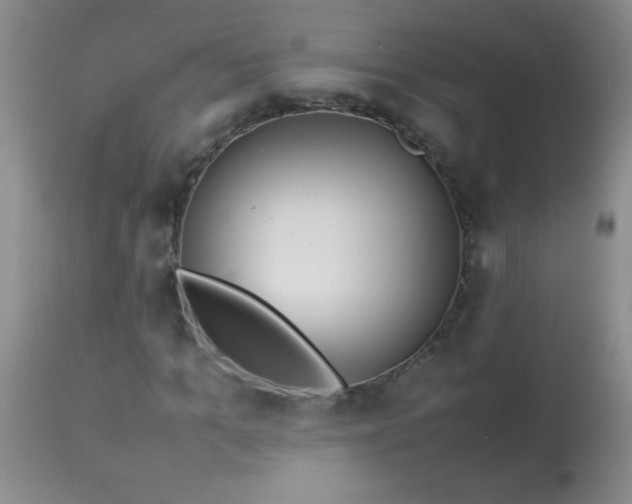 X0000114220965200910091344