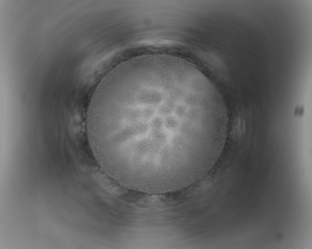 X0000114220966200910091344