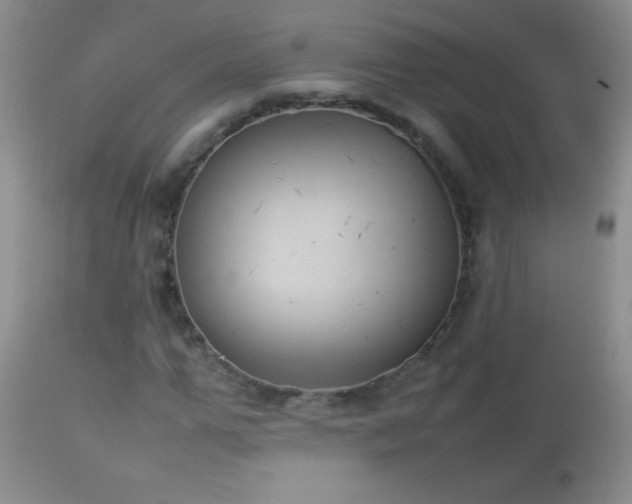 X0000114220967200910091344