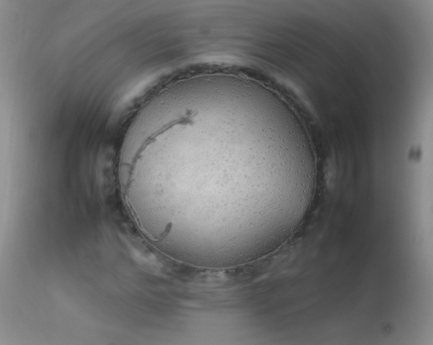 X0000114220968200910091344