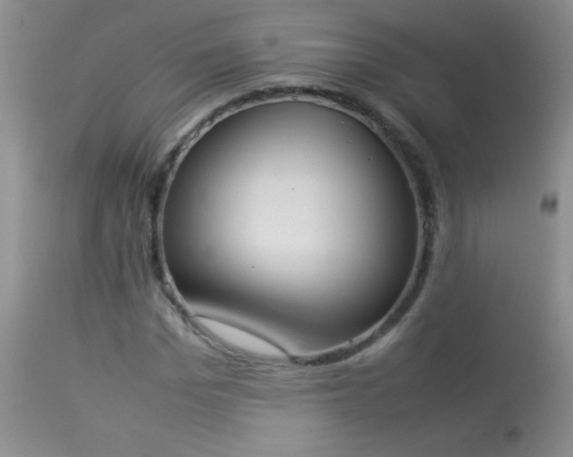 X0000114220969200910091344