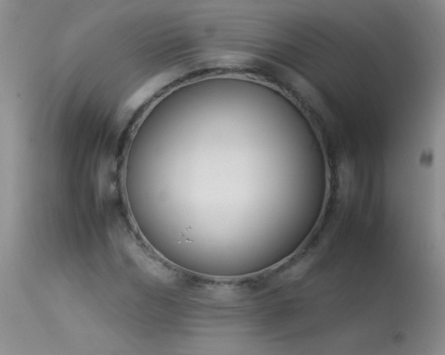 X0000114220970200910091344