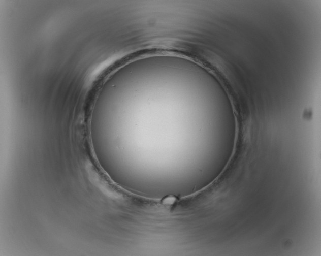 X0000114220971200910091344