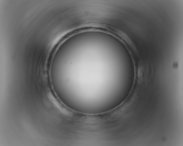 X0000114220972200910091344