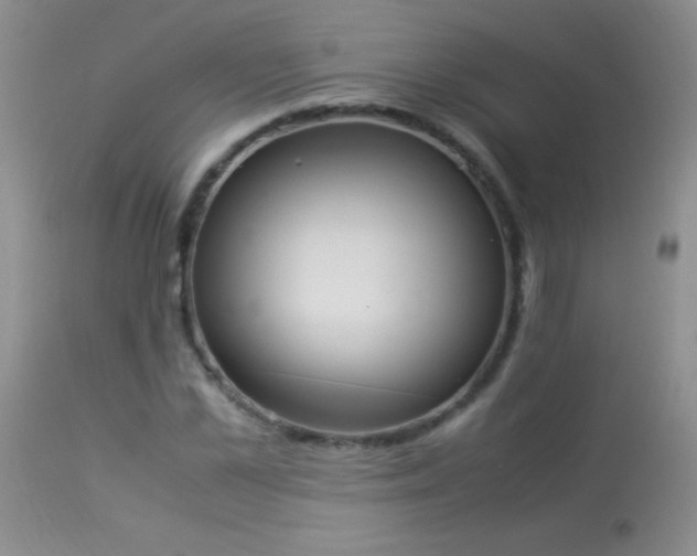 X0000114220973200910091344