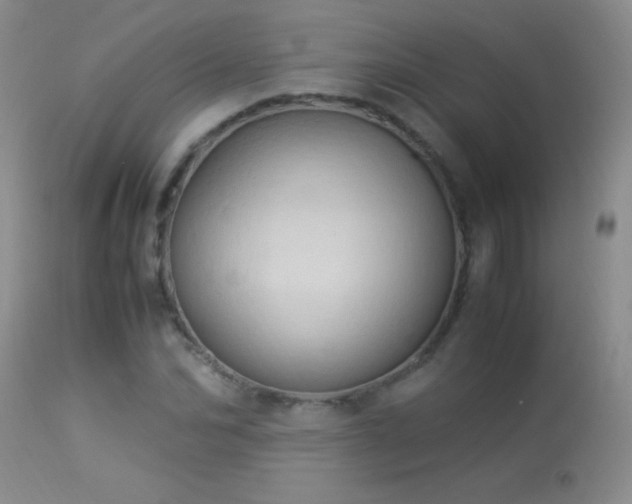 X0000114220974200910091344