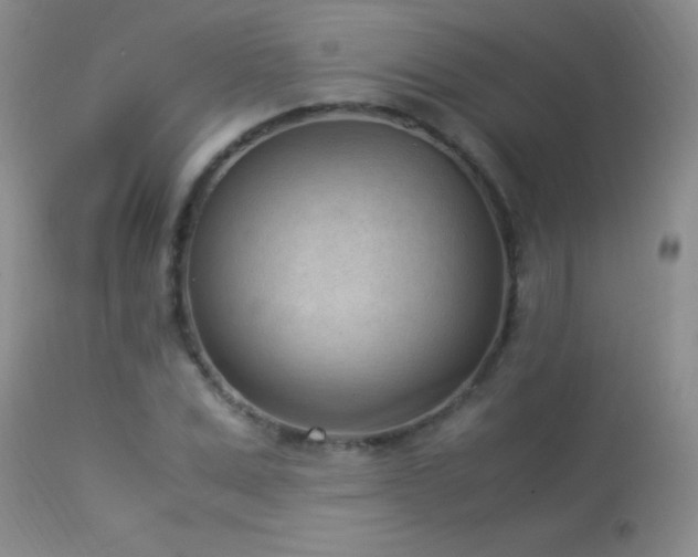 X0000114220975200910091344