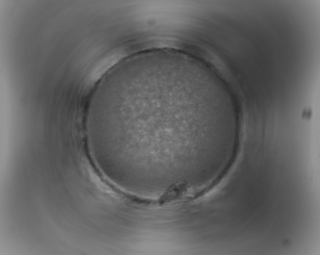 X0000114220977200910091344