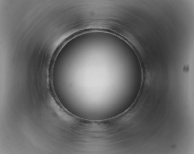 X0000114220980200910091343