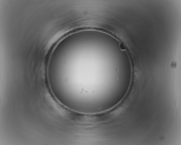 X0000114220981200910091343